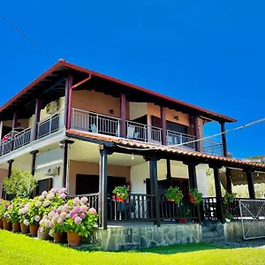 https://anna-dani.hotelschalkidiki.net